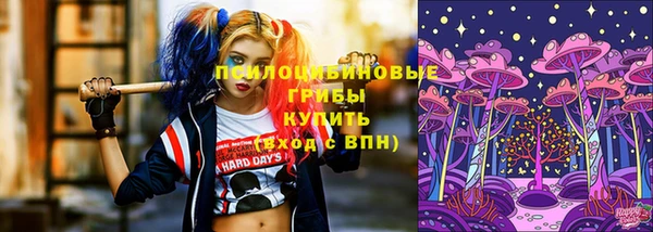 герыч Бронницы