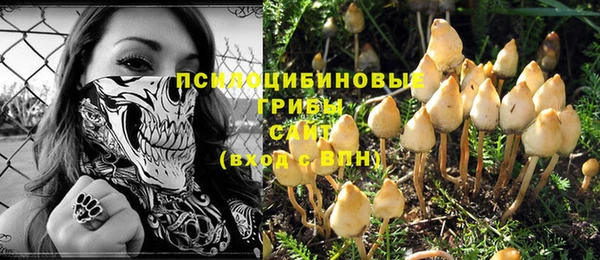 apvp Бугульма