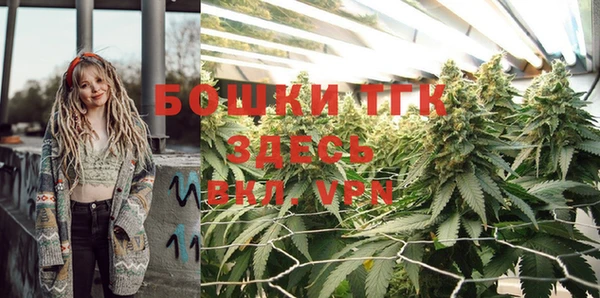 первитин Бородино