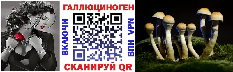 где найти   Северодвинск  Псилоцибиновые грибы MAGIC MUSHROOMS 