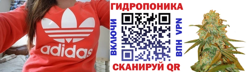 сколько стоит Северодвинск Марихуана Amnesia